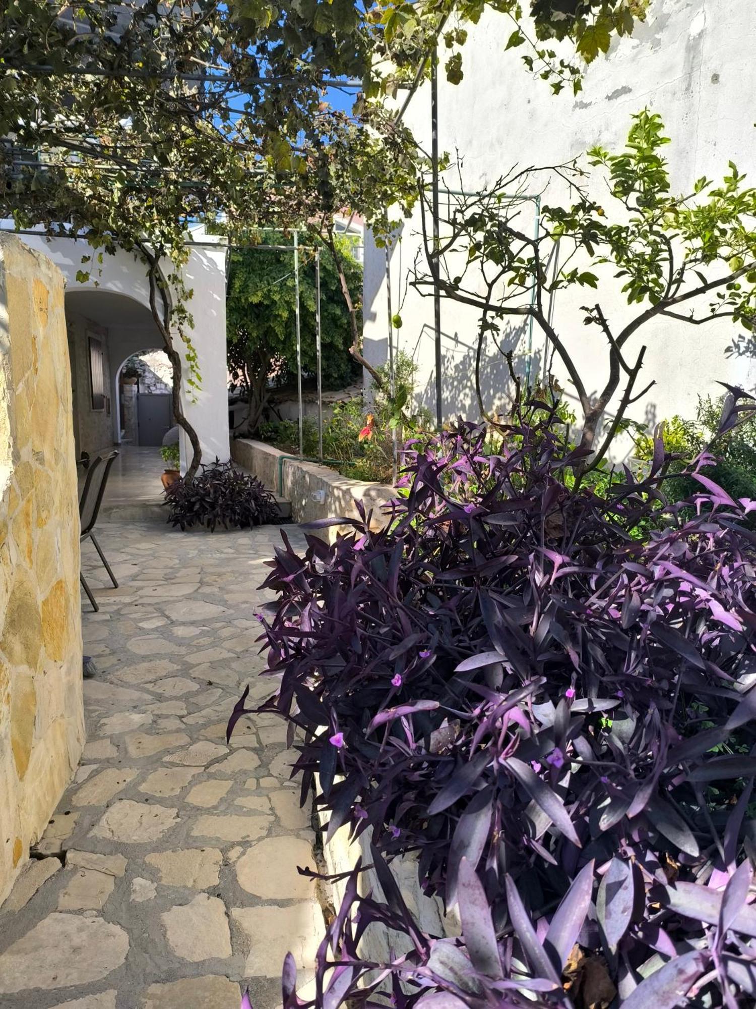 Poseidon Apartments Gaios Bagian luar foto